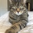 Pixel